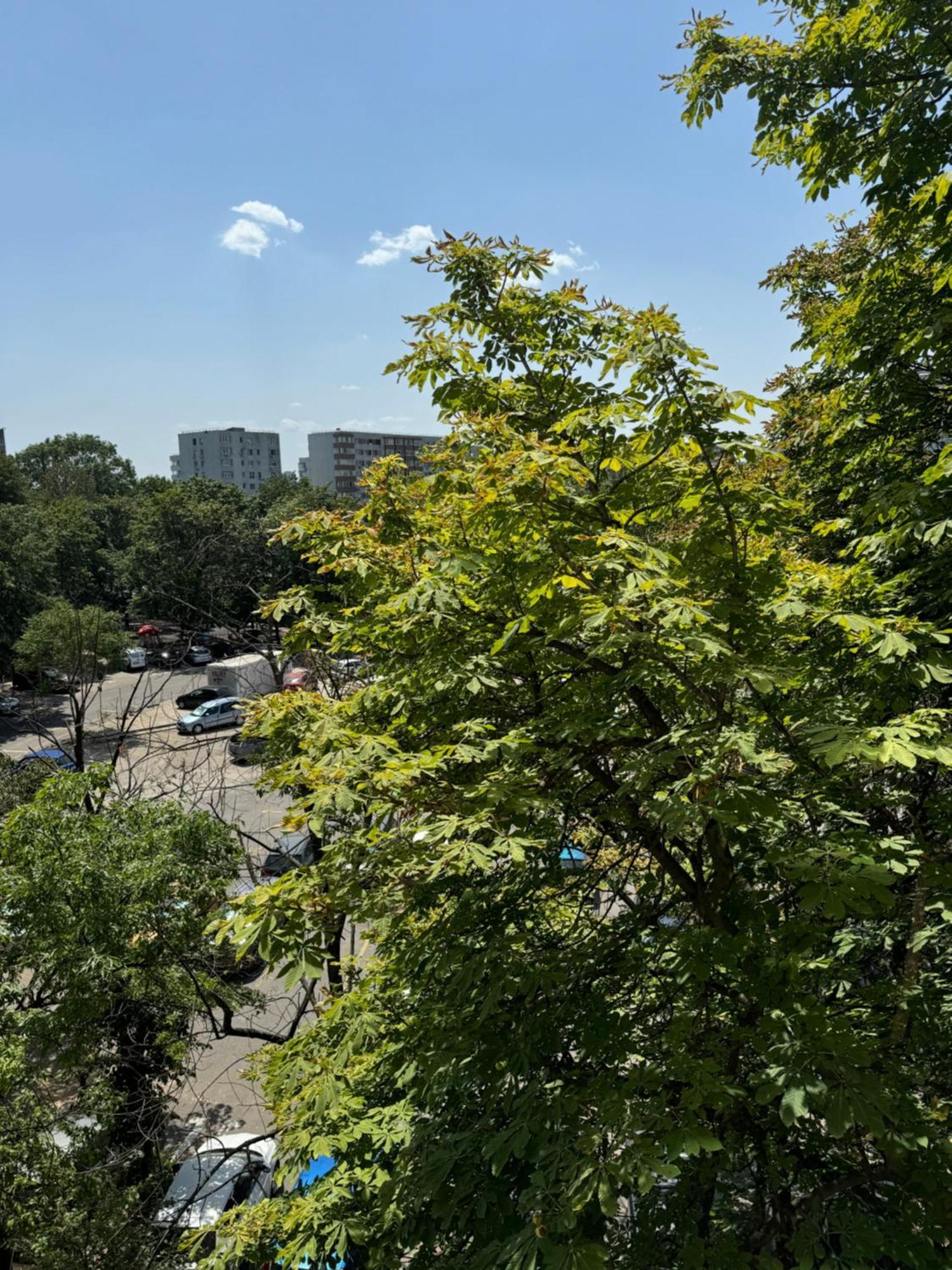 Appartamento Park